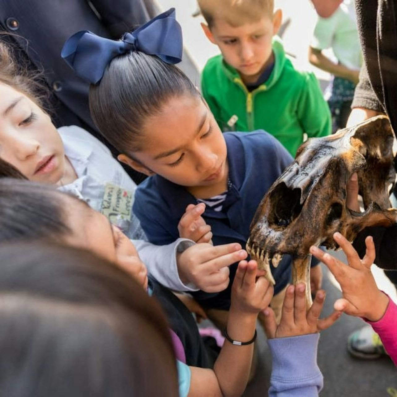 Discover an engaging experience as young explorers interact with ancient fossil remnants igniting curiosity and imagination about the world of prehistoric creatures at the La Brea Tar Pits Museum.
